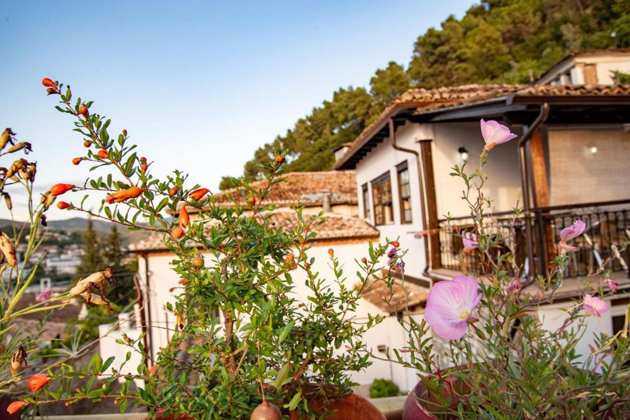 Guesthouse Belle View Berat Exterior foto