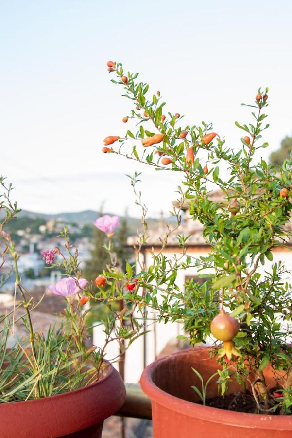 Guesthouse Belle View Berat Exterior foto