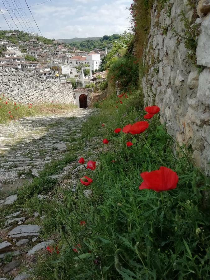 Guesthouse Belle View Berat Exterior foto